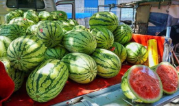 广西吃瓜爆料事件真相,揭秘背后真相与网络舆论的反思