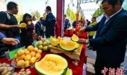 吃瓜最新事件爆料荆门,吃瓜群众揭秘惊天大事件！